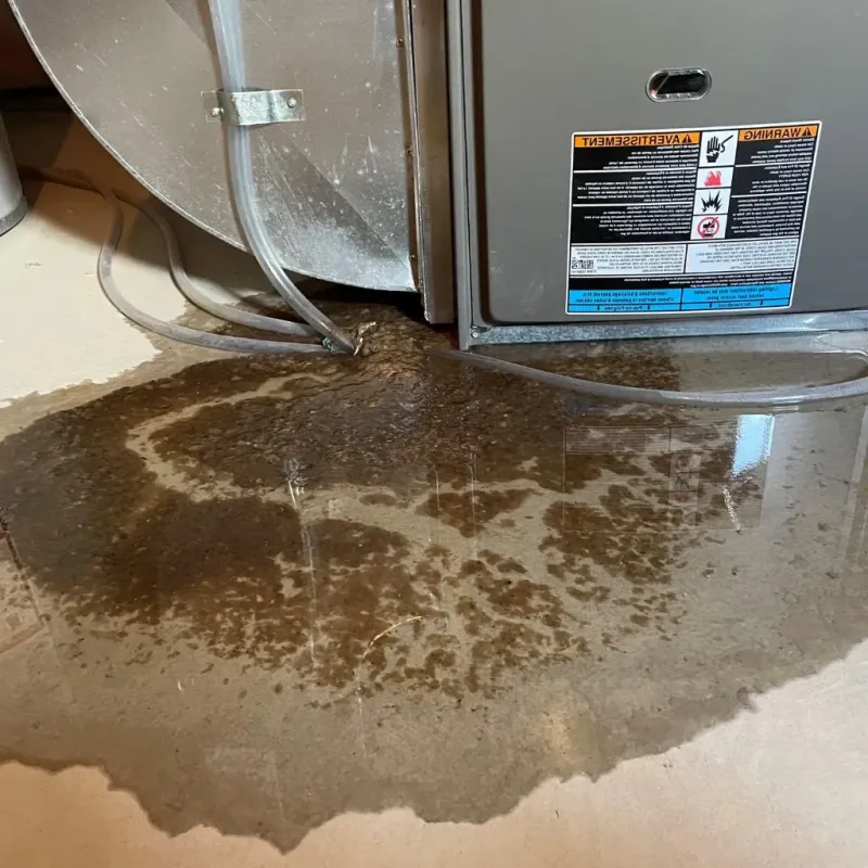 Pipe Burst and Leak Restoration in Keokuk County, IA