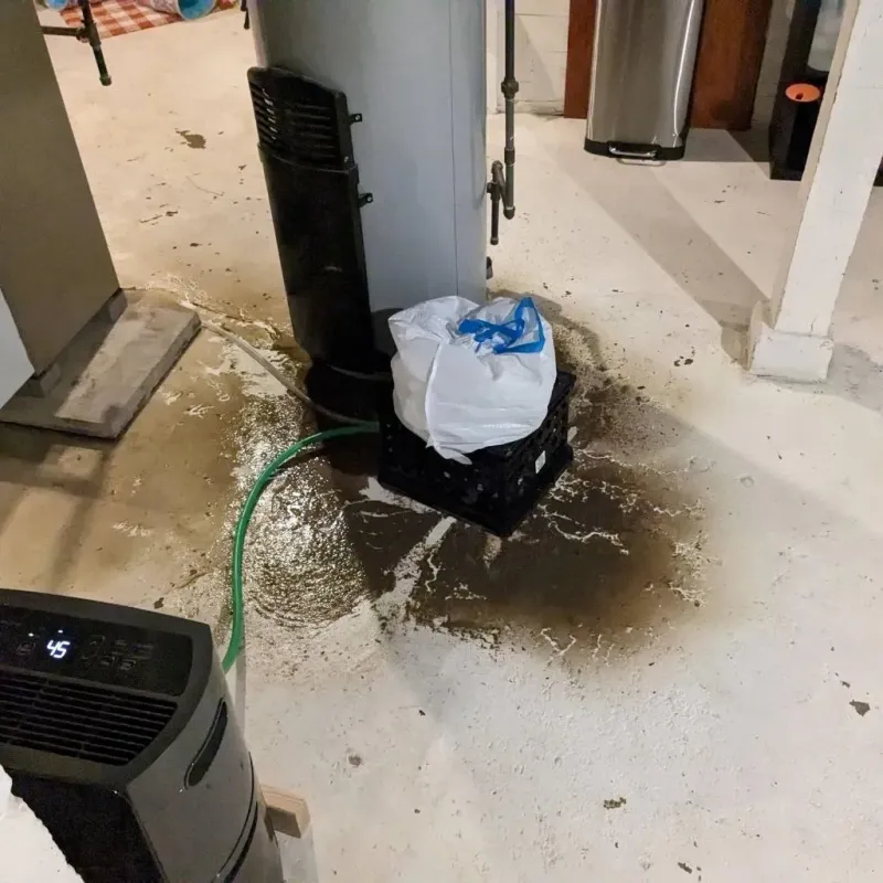 Sewage Backup Cleanup Service in Keokuk County, IA